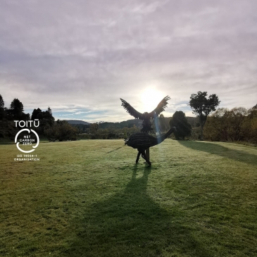 Environment Banner 2